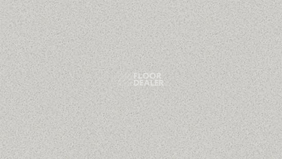 Линолеум Tarkett Travertine Pro PRO_GREY 05 фото 1 | FLOORDEALER